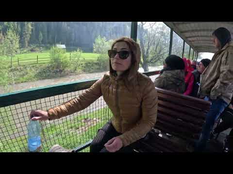 Mocanita Moldovita - Bucovina