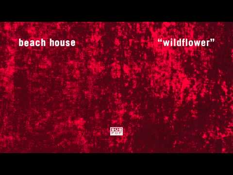 Beach House - Wildflower