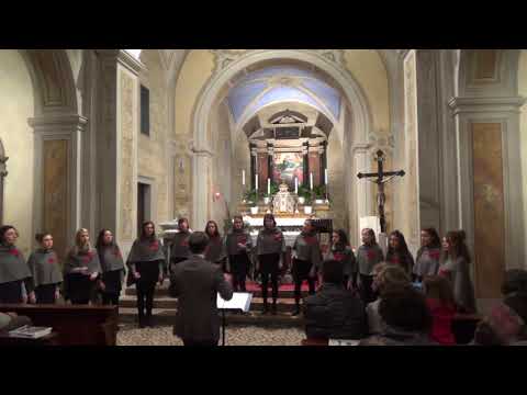 Never been a night like this - THE SWINGIRLS