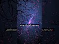 Nenjame Nenjame Song Shortvideo Trendingshorts Whatsappstatus Love Romantic Melody Tamilsong