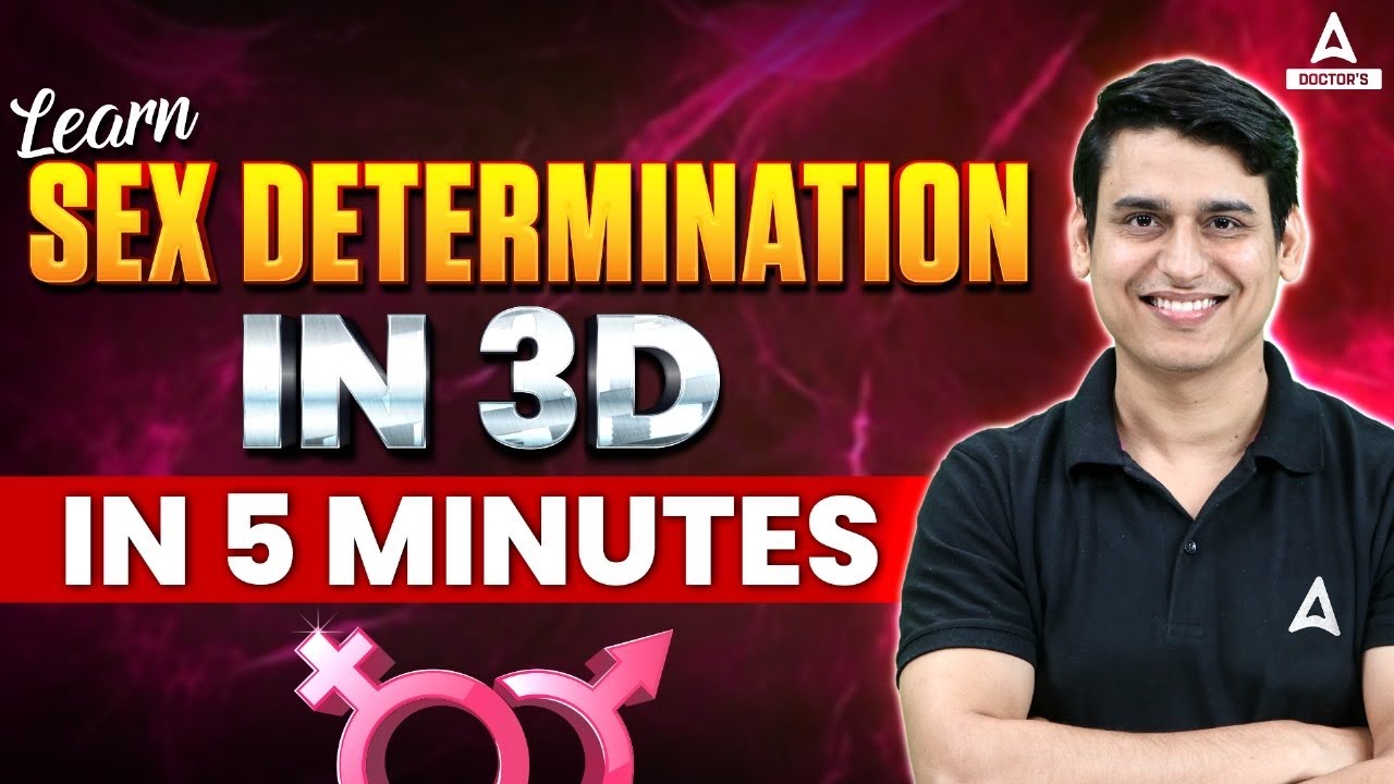 Sex Determination in Humans, Honeybees, Cockroaches & Birds | Sex Determination Class 12 in 3D