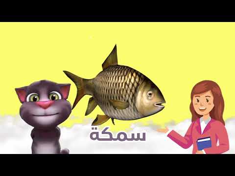 تعليم النطق للأطفال -أسماء الطيور والحيوانات والاسماك-مع القط توم باللهجه المصريه جلسة تخاطب هنا hana