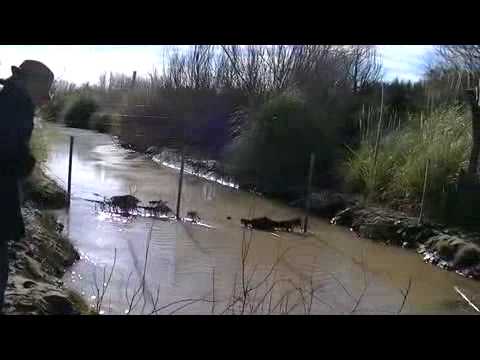 Puesto Eulogio Martinez - 2/5