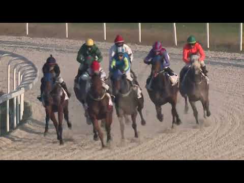 2022.11.13. 07. futam - LÓVERSENYZÉST FELÜGYELŐ BIZOTTSÁG DÍJA (I.kat.) (szintetikus pálya)