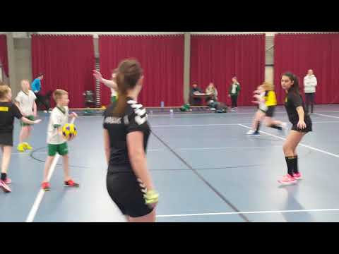 DIJKVOGELS D2 - DIE HAGHE D2 (2e helft-deel1)