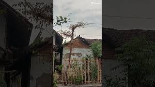 Download lagu lagu wadon selingan mp3 Download lagu lagu wadon selingan mp3