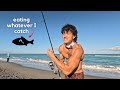 eating WHATEVER I catch off the beach // catch n cook
