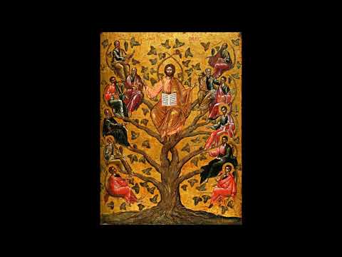 Dominica VII post Pentecosten - GRADUALE