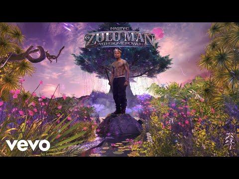 Nasty C, Tellaman - Zone (Visualizer)