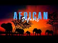 Serengeti X Maasai Mara X Etosha X Tsavo Cinematic Footage