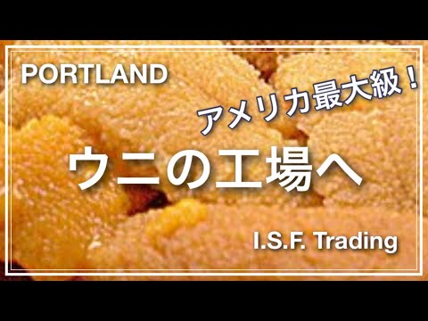ポートランドの場所