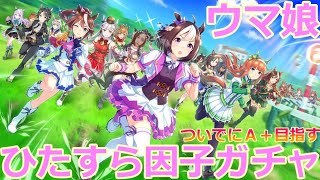 【女性配信】ウマ娘で因子ガチャしまくる【初見大歓迎】