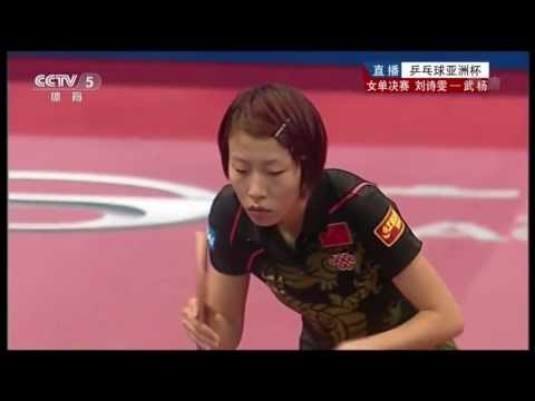2013 Asian Cup (ws-final) LIU Shiwen - WU Yang [HD] [Full Match/Chinese]