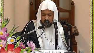 صورة 056 حالات الأداء