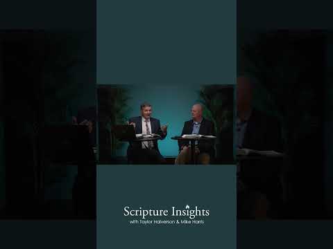 Alma 30-31 Episode Highlights. #scriptureinsights #scripturestudy #ldsscripturestudy