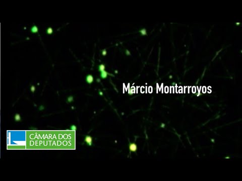 Talentos Brasil: Marcio Montarroyos (trompetista) [2007]