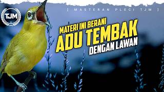 Download lagu 🔴 LIVE Masteran Pleci Gantangan Lomba Tembakan Dahsyat !!! mp3 Download lagu 🔴 LIVE Masteran Pleci Gantangan Lomba Tembakan Dahsyat !!! mp3