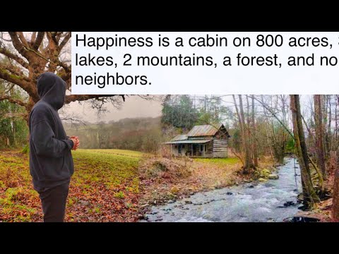 ONE YEAR | Building Two Cabins in the English Countryside