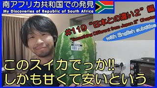 【南アフリカ】#119 日本との違いの紹介の第二弾!! 今回は髪型、学校、犯罪、野菜、虫などについてです。 海外ボランティア