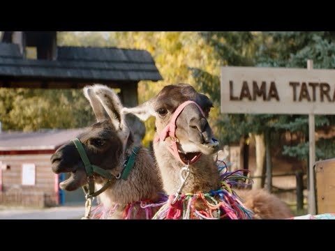 download lagu mp3 mp4 Tatransk aj Tesco, download lagu Tatransk aj Tesco gratis, unduh video klip Tatransk aj Tesco