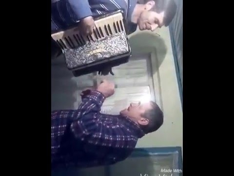 Alfonso din Coada Stanci