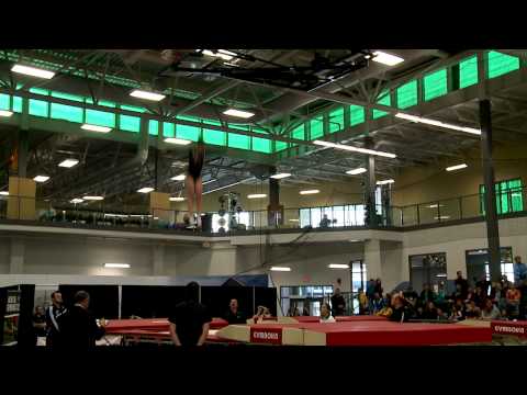 Trampoline Womens Open Finals - DUFOUR Karine - Youth.mp4