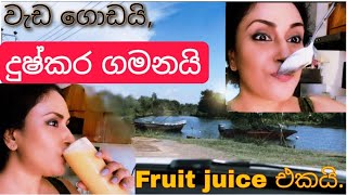 වැඩ ගොඩයි දුෂ්කර ගමනයි | Tharushi Perera  | Sri Lanka Vlog