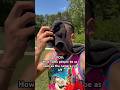 I Sure Did Walk For 2 Secs To The Car Workout Relatable Jokes Shorts