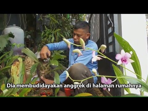 Besar kontol di closeup vaginanya kecil Patogen kuda zooapteki