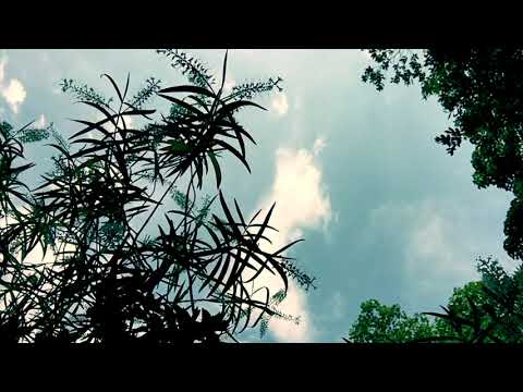 Kazuo Uehara (上原和夫) - 'Sweet & Sweet' (Prologue)