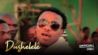 Alikiba - Dushelele (Official Music Video)