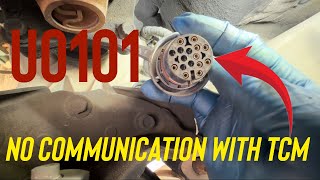 How to Check U0101 No communication with TCM
