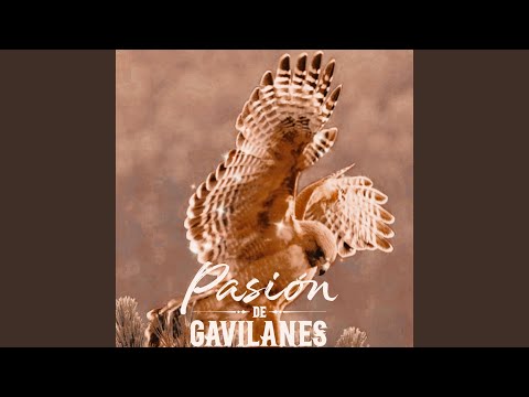 Vete - Pasion De Gavilanes