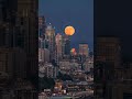 Moonrise over city, did you notice the traffic at the bottom? #moonrise #dslr  #timelapse