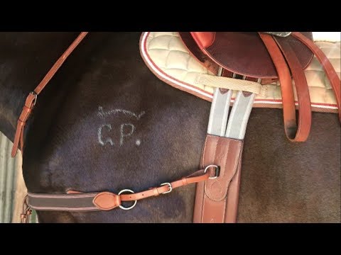 Tack Up With Me | Showjumping Edition