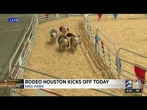 Rodeo Houston kicks off Tuesday