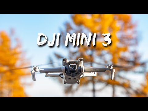 DJI MINI 3 // Der PRO dicht auf den Fersen!!! 👍