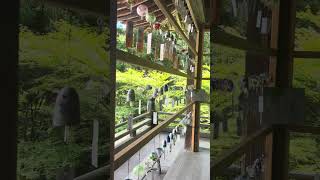 【西国33箇所巡り】石山寺_西国_part5
