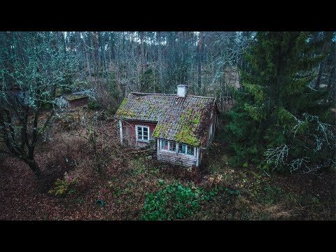 , title : 'A Man Lived 60 Years Secluded From the World in His Abandoned Tiny House'