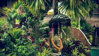 Download lagu Bali Ambiance _ Relaxing Balinese Gamelan Music And Piano mp3 Download lagu Bali Ambiance _ Relaxing Balinese Gamelan Music And Piano mp3