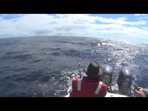 Lost Swordfish - St Helens "Rapid Supply" classic 2015