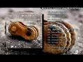 Obliterate Something Wrong 2009 Death Metal Grindcore FULL ALBUM