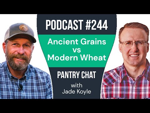The Truth About Your Food: Ancient Grains vs. Modern Wheat