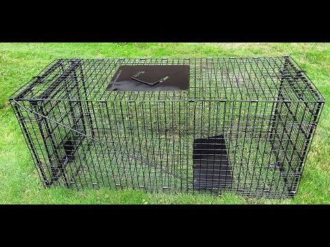 Humane Way Live Trap Assembly Tutorial