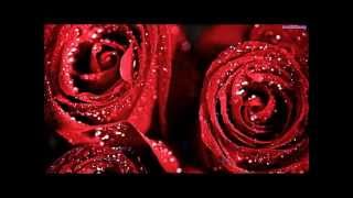 RENAISSANCE   Only when i laugh