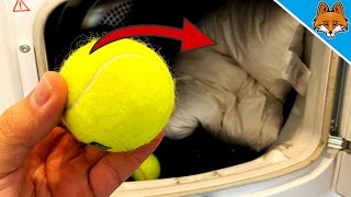 THEREFORE you should add a Tennis Ball to your laundry 💥 (GENIUS Trick) 😱