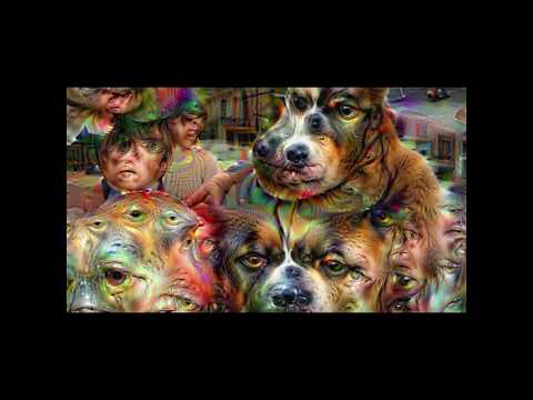 LOCKN 2016 by Super Hippy