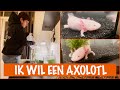 Floris gaat een nieuwe huisdier ophalen! | DierenpraatTV