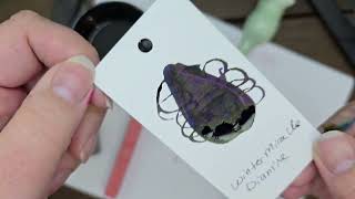 Winter Miracle Ink Review Diamine Fountain Pen Ink