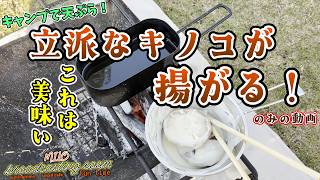 【飯】酒が止まらない…キャンプで立派なキノコを揚げました。